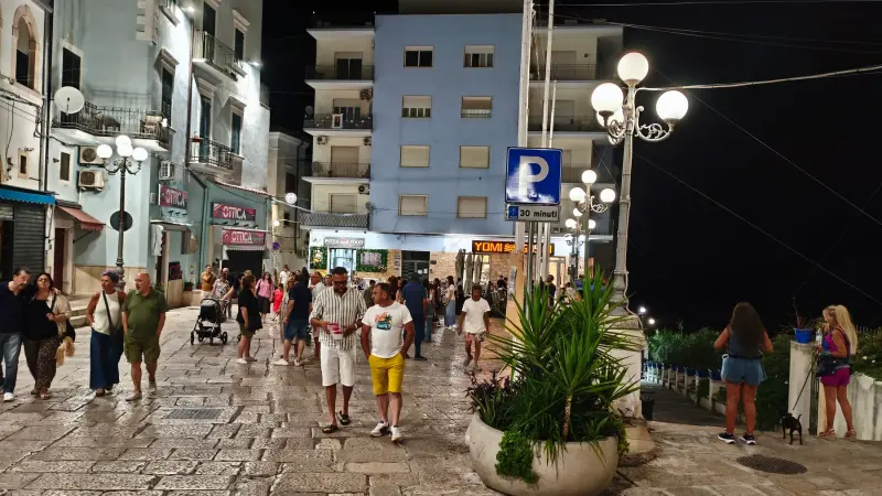 Movida 1