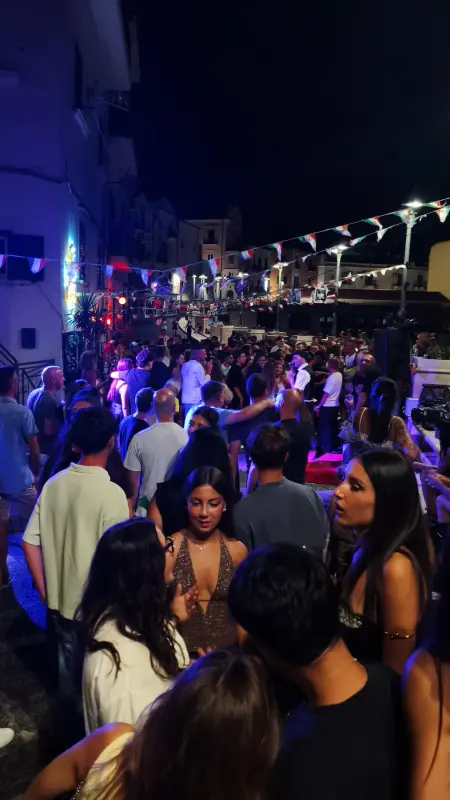 Movida 3
