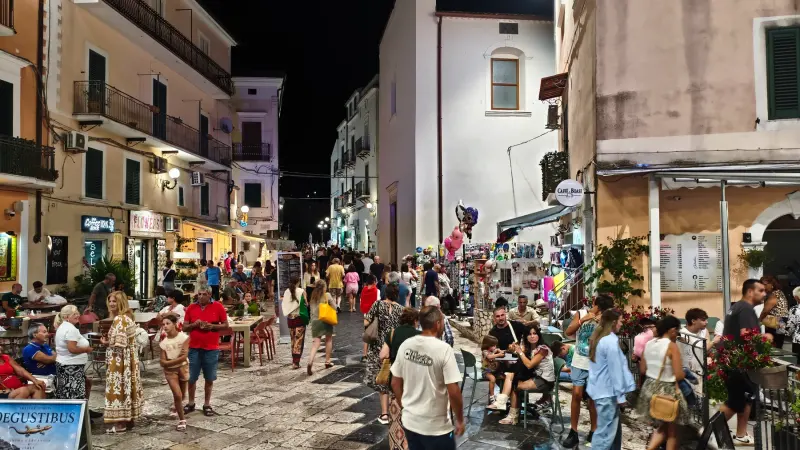 Movida 5